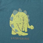 Stegosaurus Graphic Teal Blue Cotton T-Shirt for Kids